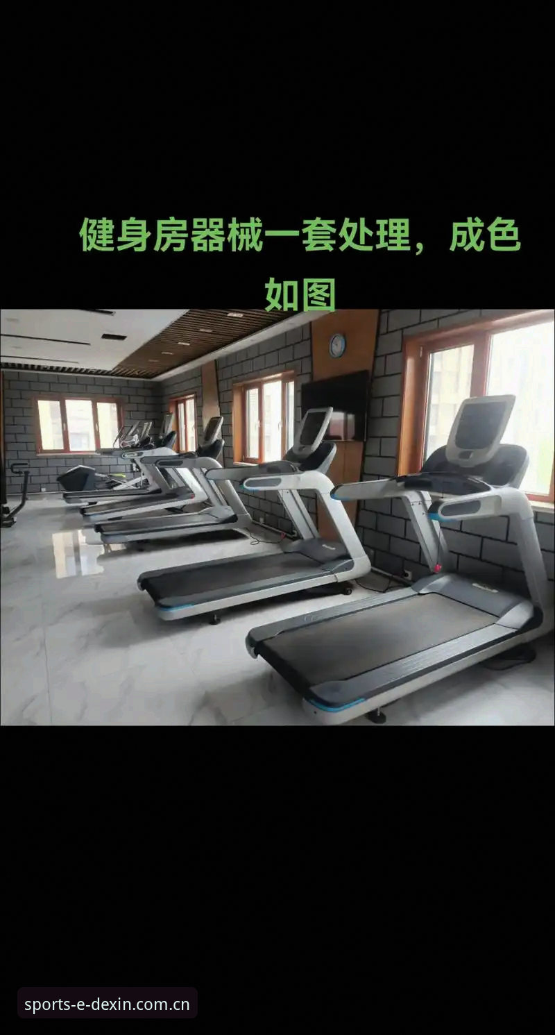德信体育无障碍使用必备 德信体育平台无障碍使用必备实用指南:从下载到数据服务的完整攻略